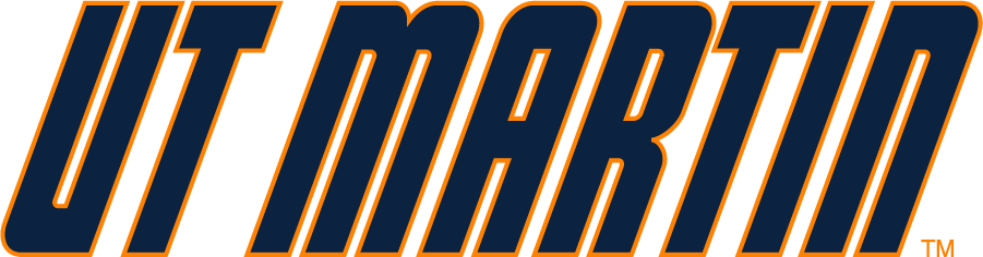 Tennessee-Martin Skyhawks 2007-Pres Wordmark Logo v2 diy DTF decal sticker